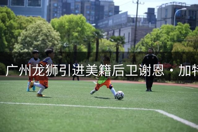 广州龙狮引进美籍后卫谢恩·加特林 补强后场火力